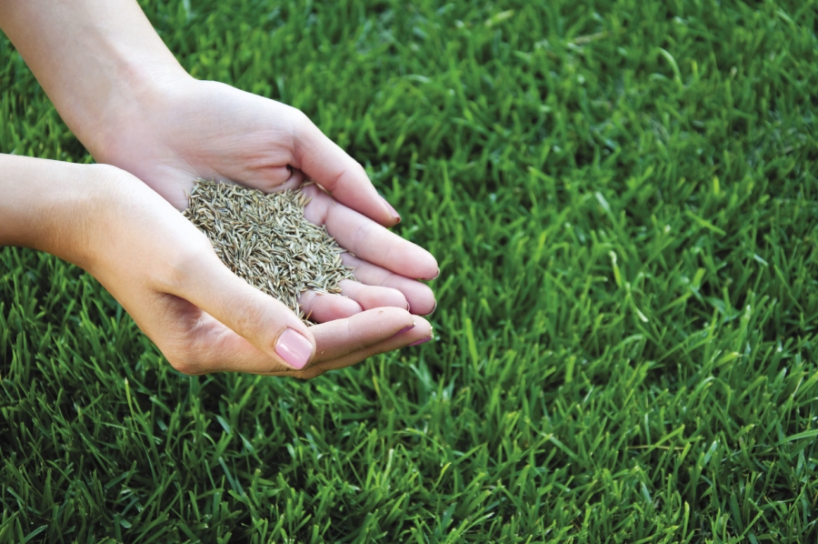 lawn-service-flying-bv-lanscaping-inc